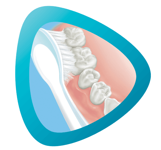Szczoteczka do zębów z zębami