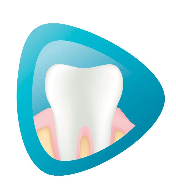 Ząb z niebiesko-białym tłem