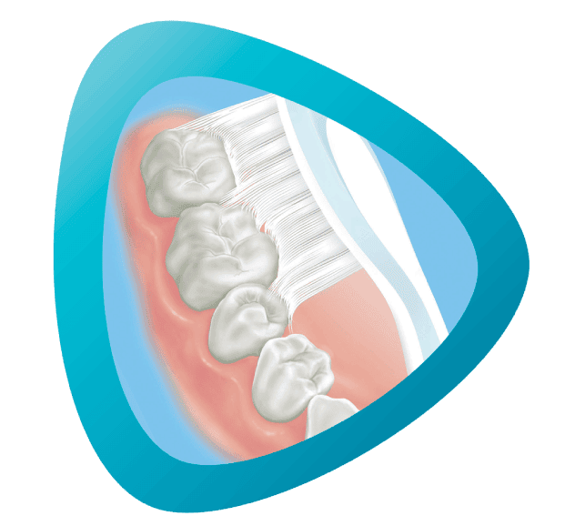 Obraz szczoteczki do zębów z zębami